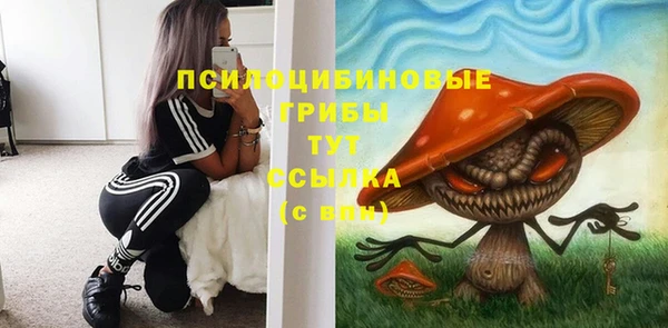 соль курить ск Алзамай