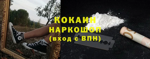 соль ск Алексин