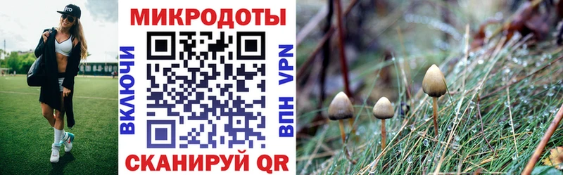 Галлюциногенные грибы Cubensis  Мураши 